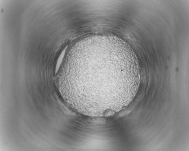 X0000088180670200706051143