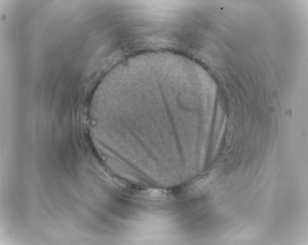 X0000088180672200706051143