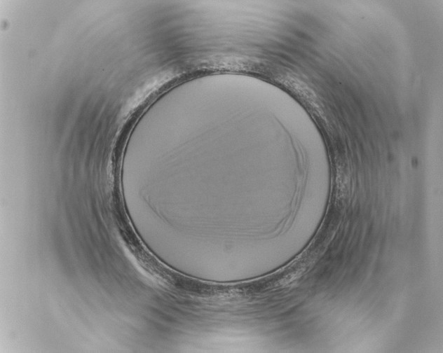 X0000088180674200706051142