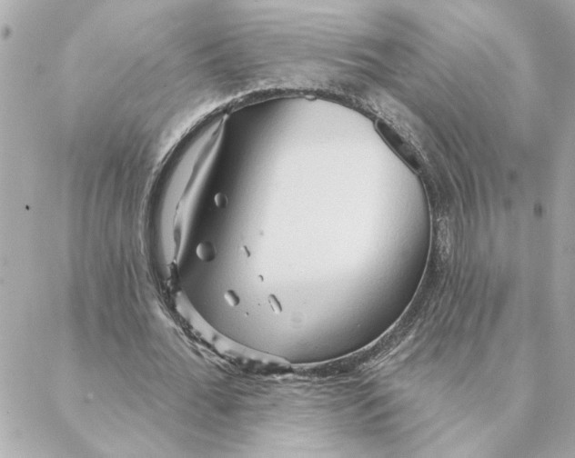 X0000088180676200706051142