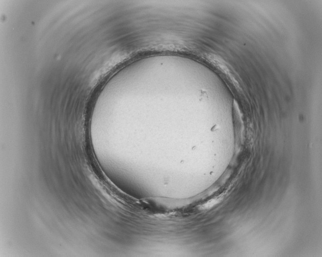 X0000088180677200706051142