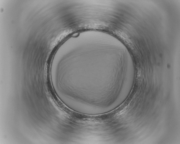 X0000088180678200706051142