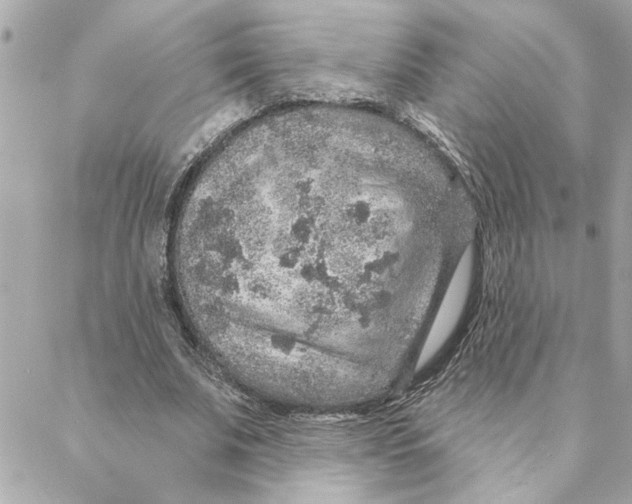 X0000088180679200706051142