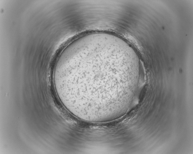 X0000088180680200706051142