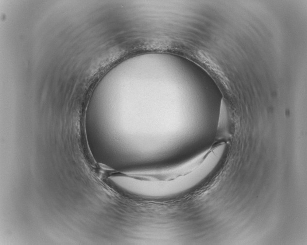 X0000088180681200706051142