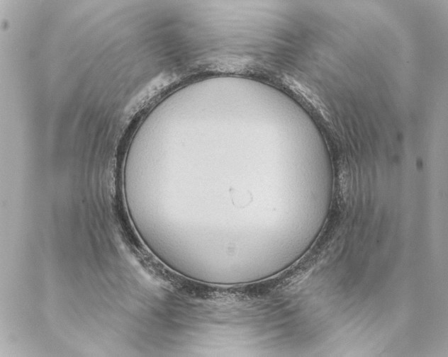 X0000088180682200706051142