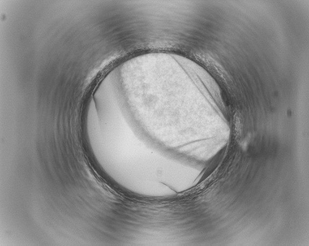 X0000088180684200706051142