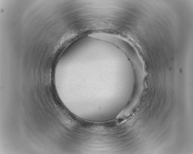 X0000088180685200706051142