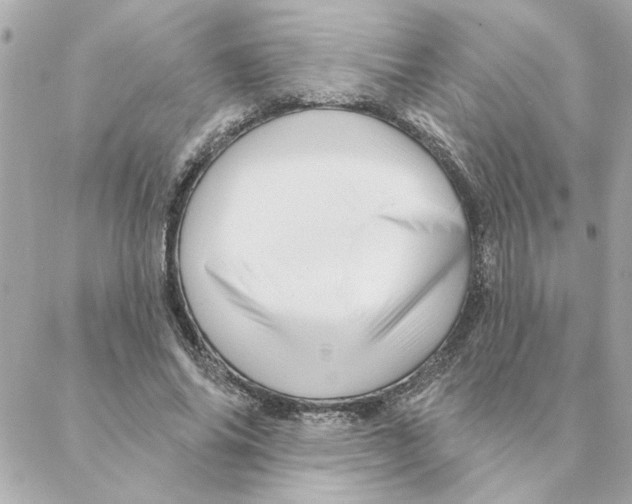 X0000088180686200706051142