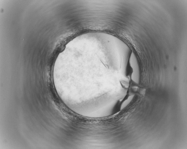 X0000088180688200706051142