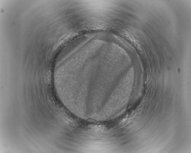 X0000088180689200706051142