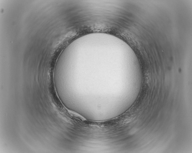 X0000088180690200706051142