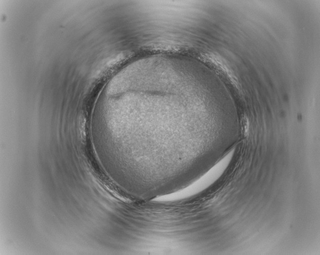 X0000088180692200706051142