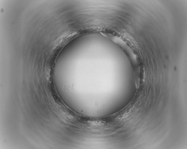 X0000088180693200706051142