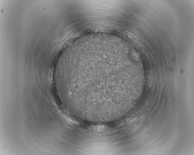 X0000088180695200706051142