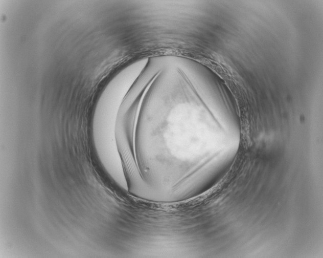 X0000088180696200706051142