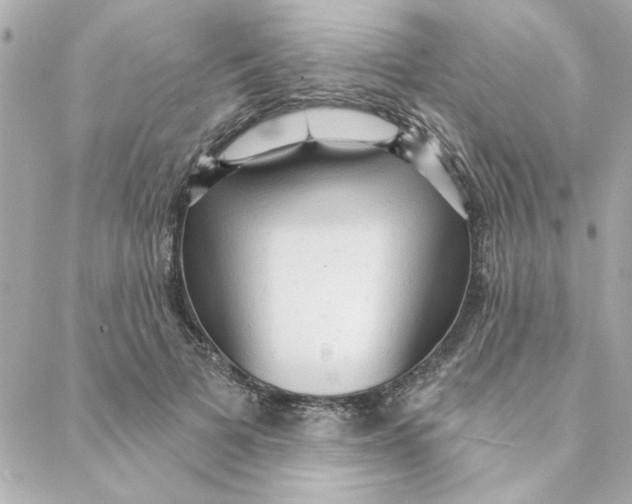 X0000088180697200706051142