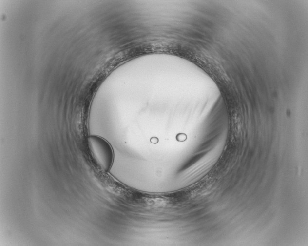 X0000088180698200706051142