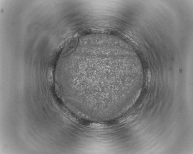 X0000088180699200706051142