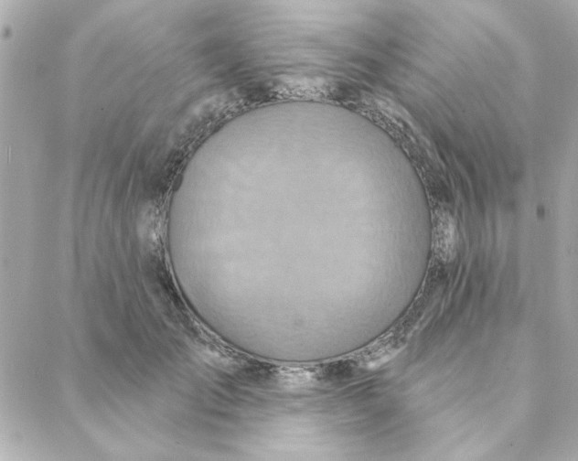 X0000088180701200706051142