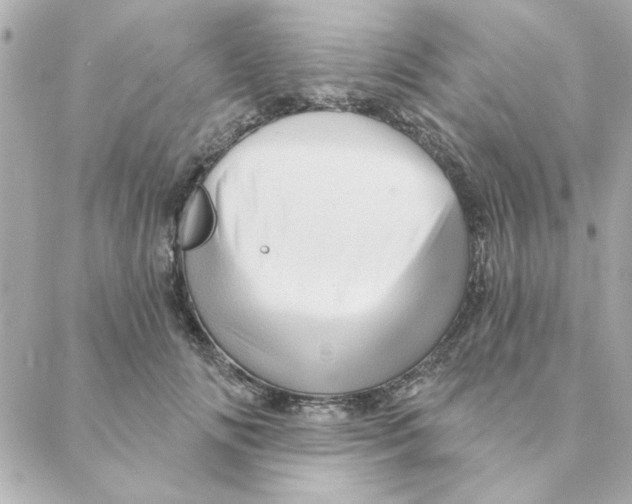 X0000088180702200706051142