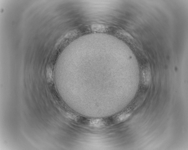 X0000088180705200706051142