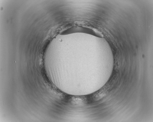 X0000088180706200706051142