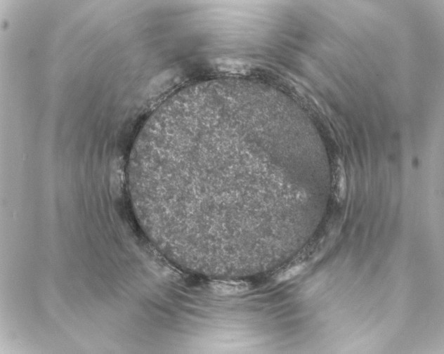 X0000088180707200706051142