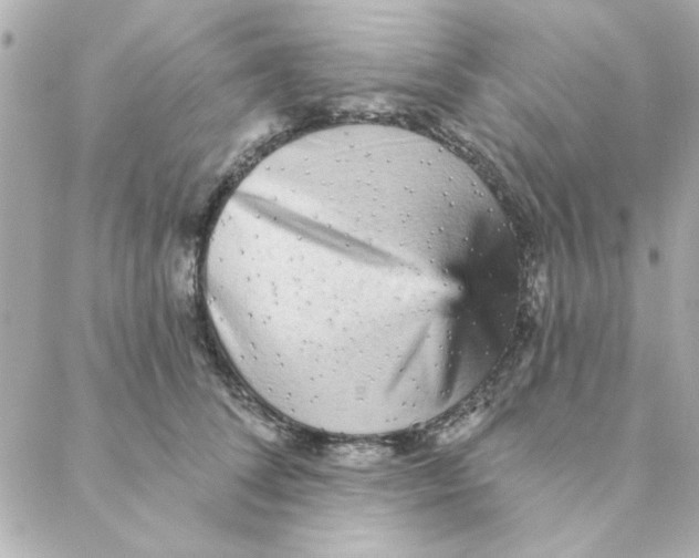 X0000088180708200706051142