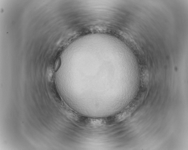 X0000088180709200706051142