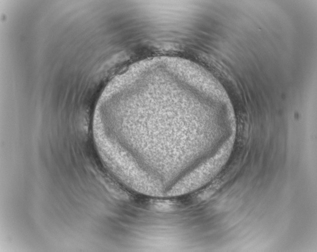 X0000088180710200706051142