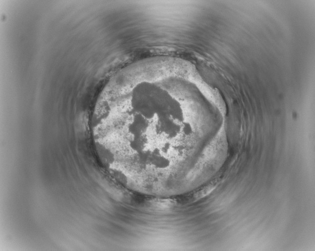 X0000088180711200706051142