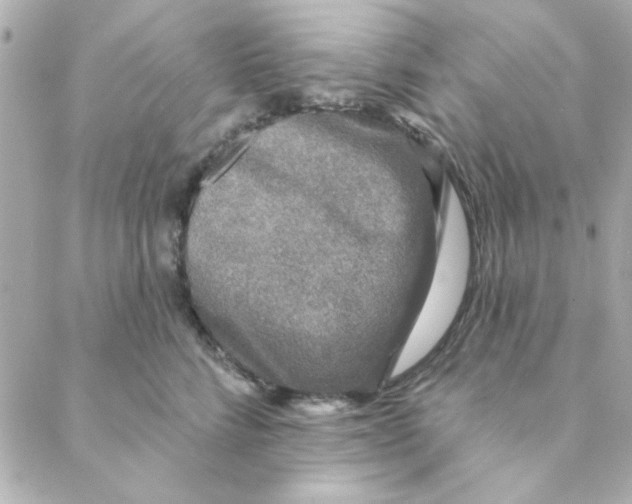 X0000088180712200706051142