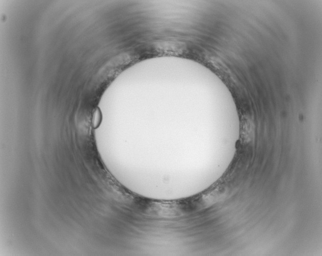 X0000088180713200706051142