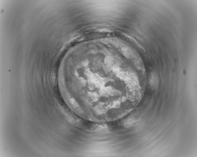 X0000088180715200706051142