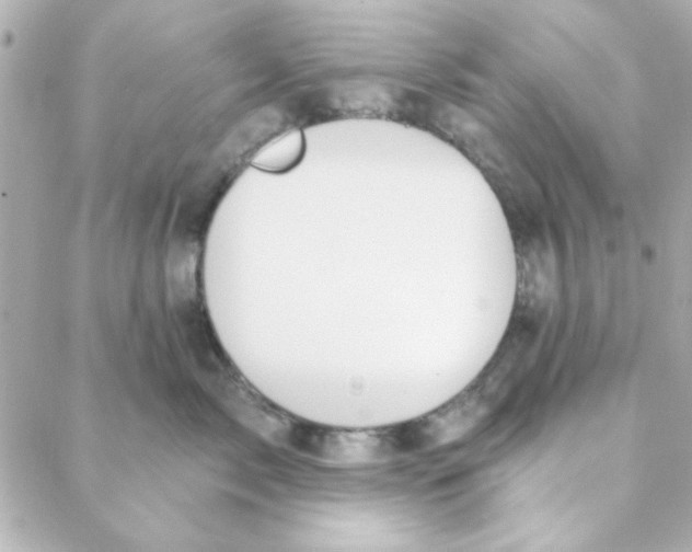 X0000088180717200706051141