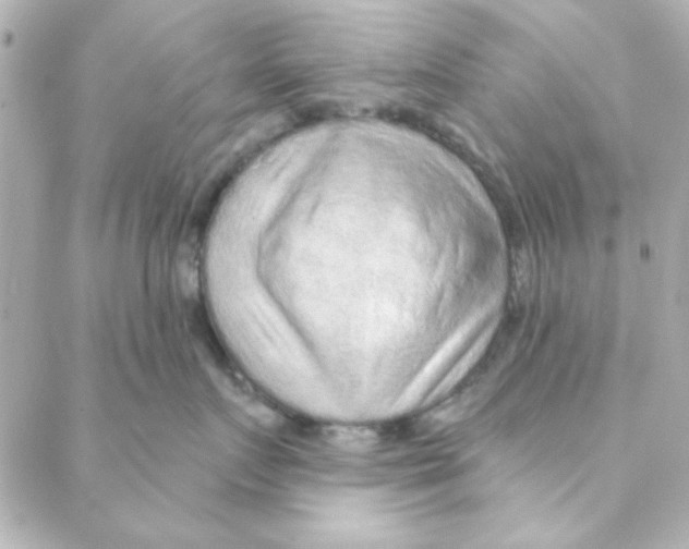 X0000088180719200706051141