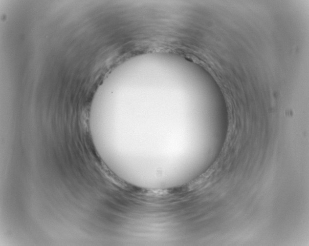 X0000088180720200706051141