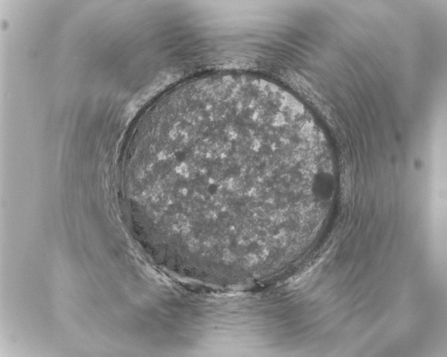 X0000088180721200706051141