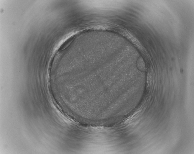 X0000088180722200706051141