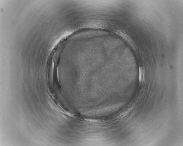 X0000088180723200706051141