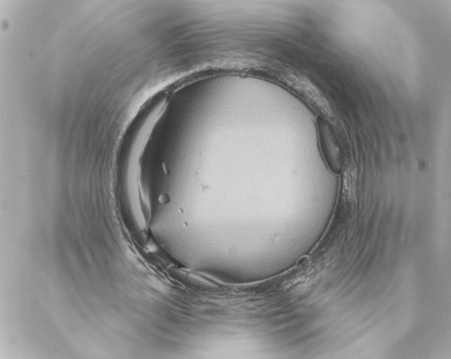 X0000088180724200706051141