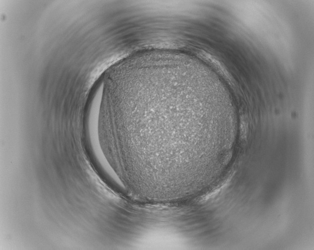 X0000088180725200706051141