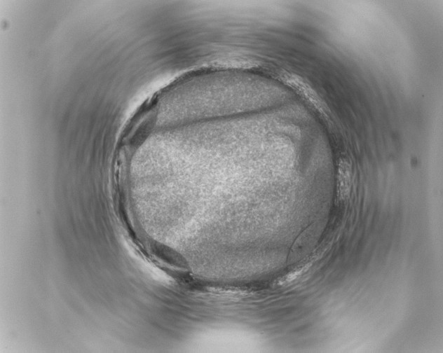 X0000088180726200706051141