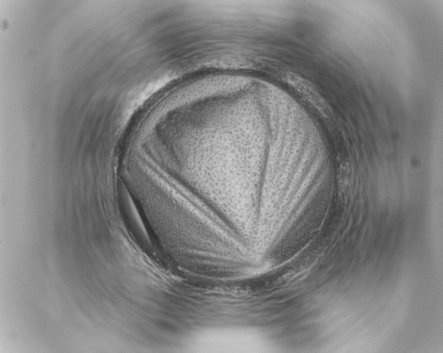 X0000088180727200706051141