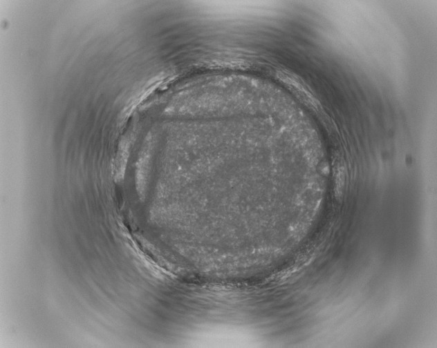 X0000088180729200706051141