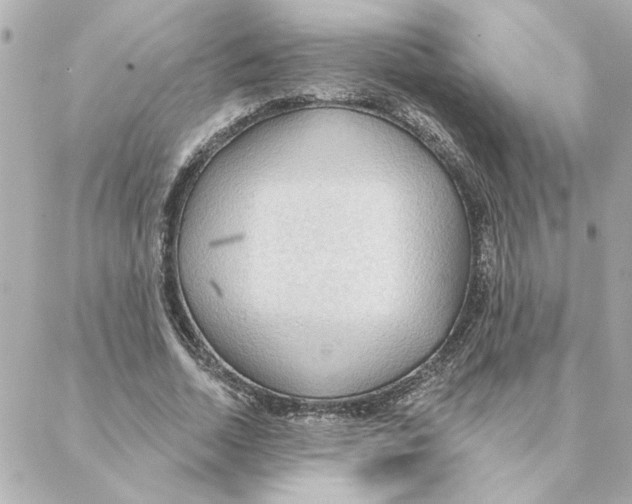 X0000088180730200706051141