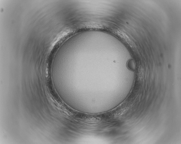 X0000088180731200706051141