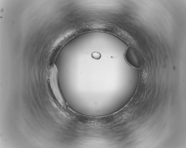 X0000088180732200706051141