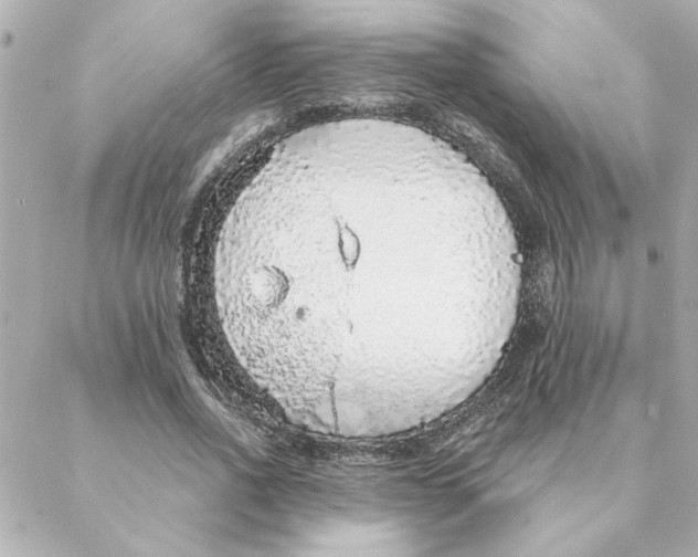 X0000088180734200706051141